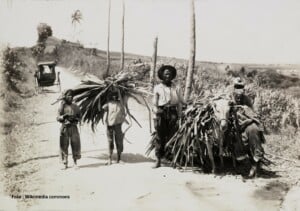 Foto Wikimedia commons